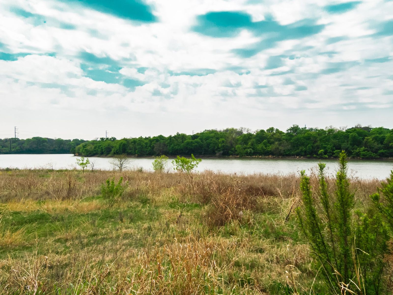 A riverside meadow under a summer sky
